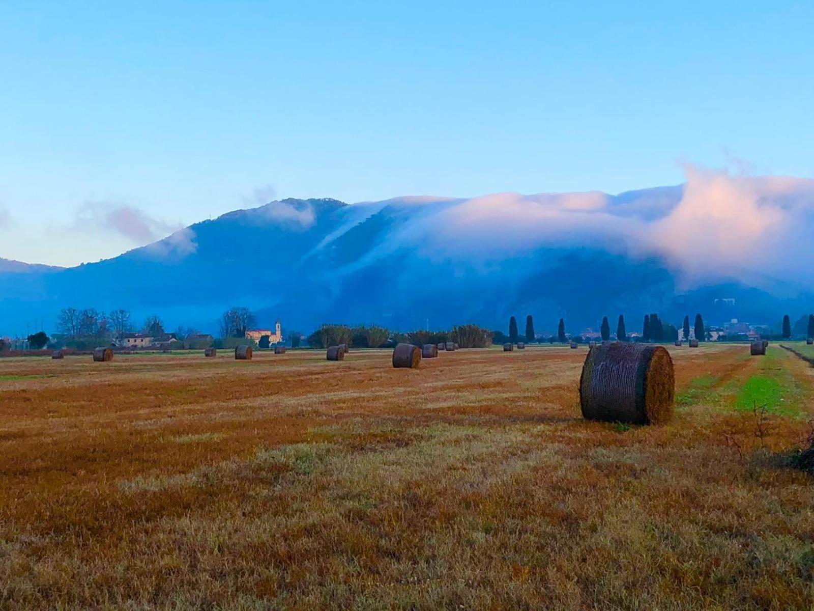 Intero Alloggio Campagna Lucca Капанари Екстериор снимка